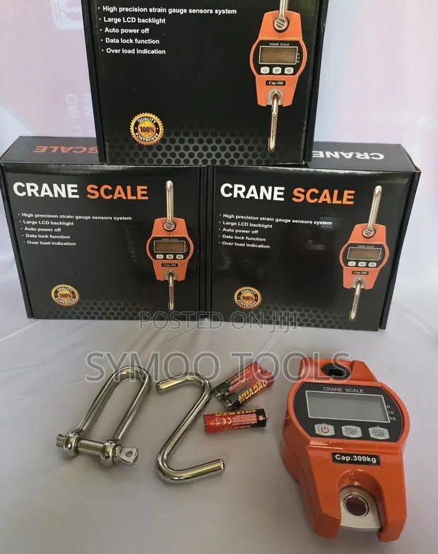 300kg Digital Crane Scale - 1