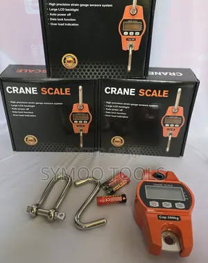 300kg Digital Crane Scale