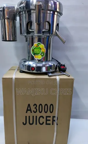 Juicer ya Biashara A3000