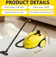 2000W Multi-Purpose Steam Cleaner - 3