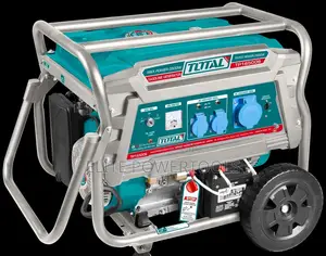 TOTAL Portable Gasoline Generator TP165006