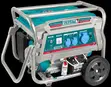TOTAL Portable Gasoline Generator TP165006 - 1