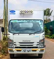 Isuzu NQR Lori la Friji 2025 - 2