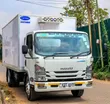 Isuzu NQR Lori la Friji 2025 - 3