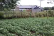 Viwanja vya Mang'u Mastoo 50x100 kwa Uuzaji - 2