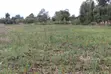 Viwanja vya Mang'u Mastoo 50x100 kwa Uuzaji - 4