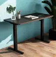 Electric Height Adjustable Standing Desk - 2