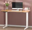 Electric Height Adjustable Standing Desk - 4