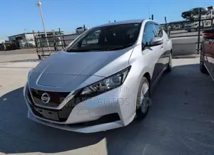 Nissan Leaf S 2020 Silver
