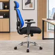 Kiti cha Ergonomic cha Swivel chenye Lumbar Support - 1