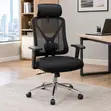Kiti cha Ergonomic cha Swivel chenye Lumbar Support - 3