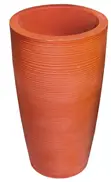 Planta kubwa ya Mviringo - Muonekano wa Jiwe Wenye Muundo - 1