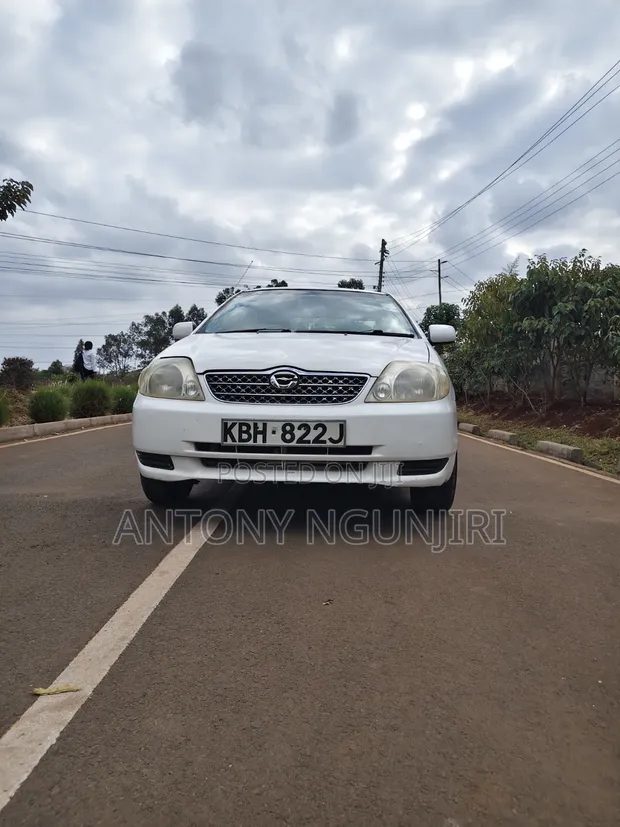 Toyota Corolla NZE 2007 - 1