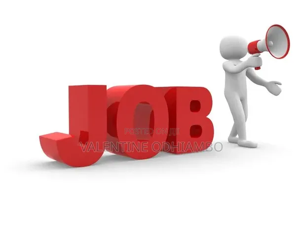 Sales Representative Job - Nairobi Central - 1