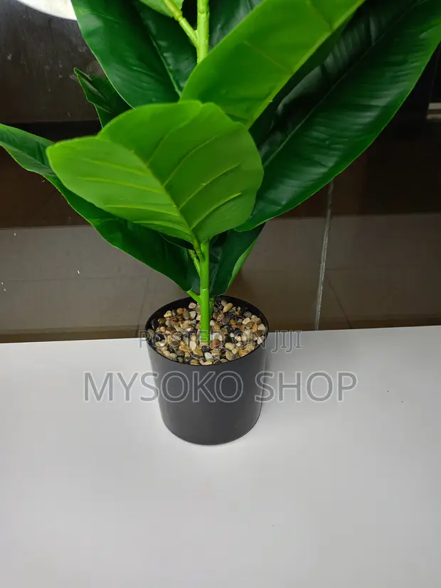Artificial Fiddle Leaf Fig Plant (Lyrata) - 70cm - 1