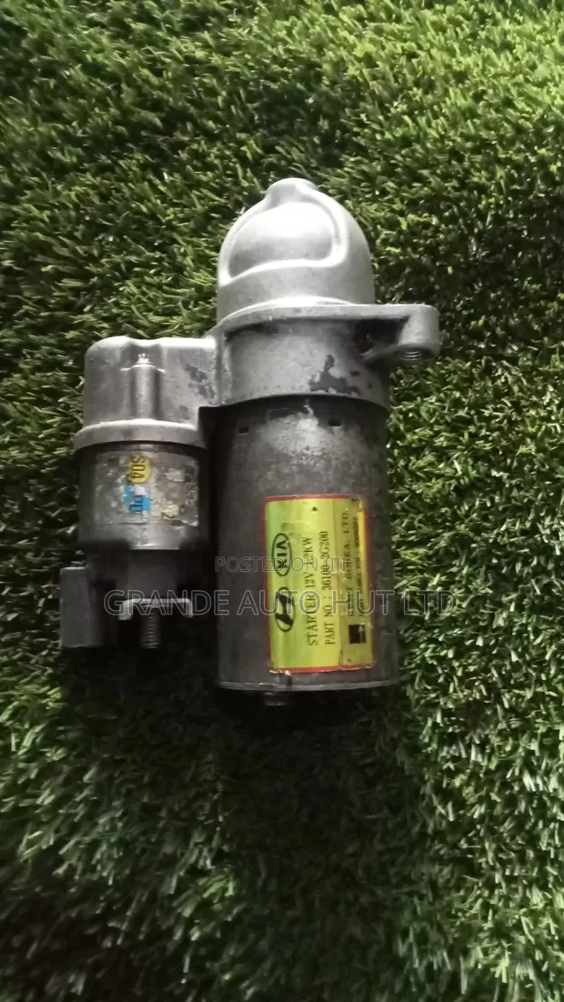 Hyundai Santa Fe Starter Motor - 1