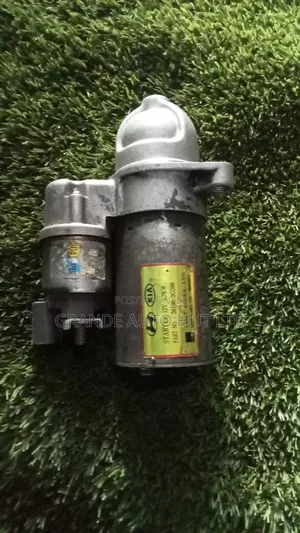 Hyundai Santa Fe Starter Motor