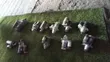 Volkswagen Golf Mk5 Starter Motor - 5