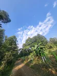 Karatina Plots for Sale - RiverBank Area - 1