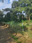 Karatina Plots for Sale - RiverBank Area - 2