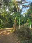 Karatina Plots for Sale - RiverBank Area - 3