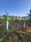 Karatina Plots for Sale - RiverBank Area - 4