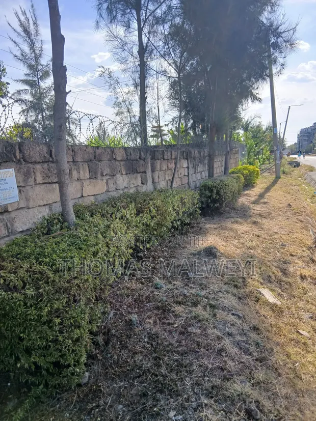 0.5 Acre Fenced Land for Sale - Junction/Benedicta - 1