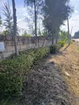 0.5 Acre Fenced Land for Sale - Junction/Benedicta - 1