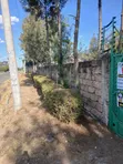0.5 Acre Fenced Land for Sale - Junction/Benedicta - 2