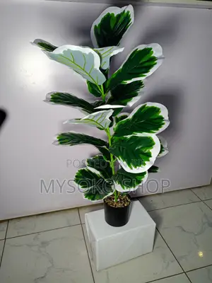 Artificial Variegated Fiddle Leaf Fig Plant