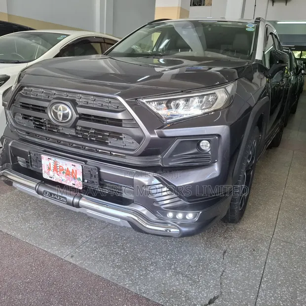 Toyota RAV4 Limited FWD 2019 Gray - 1