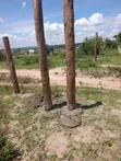 Mariakani 50x100ft Plots for Sale - 1