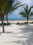 15 Acres Commercial Land for Sale in Watamu Jacaranda - 2