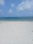 15 Acres Commercial Land for Sale in Watamu Jacaranda - 3