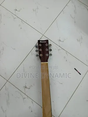 Brand New Ibanez Semi-Acoustic Guitar