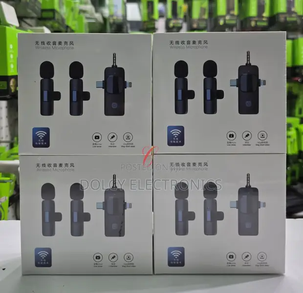 Dual Wireless Microphone System - 1