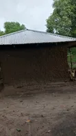 Shamba la Kilimo na Miti ya Matunda Hongwe - 5