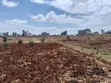 Residential Plots for Sale in Kiora, Kirigiti, Kiambu - 3