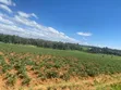 5.5 Acres Farmland for Sale in Kamuri, Kuresoi North - 2