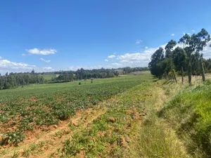 5.5 Acres Farmland for Sale in Kamuri, Kuresoi North