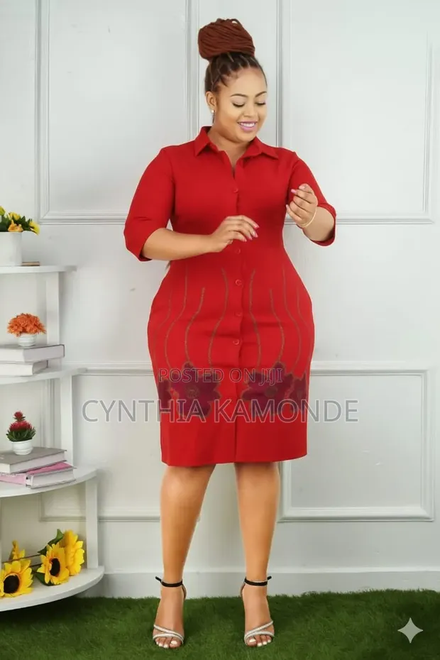 Classic Shirt Dress - 1