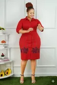 Classic Shirt Dress - 1
