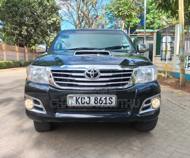 Toyota Hilux Double Cab 2010 - 1