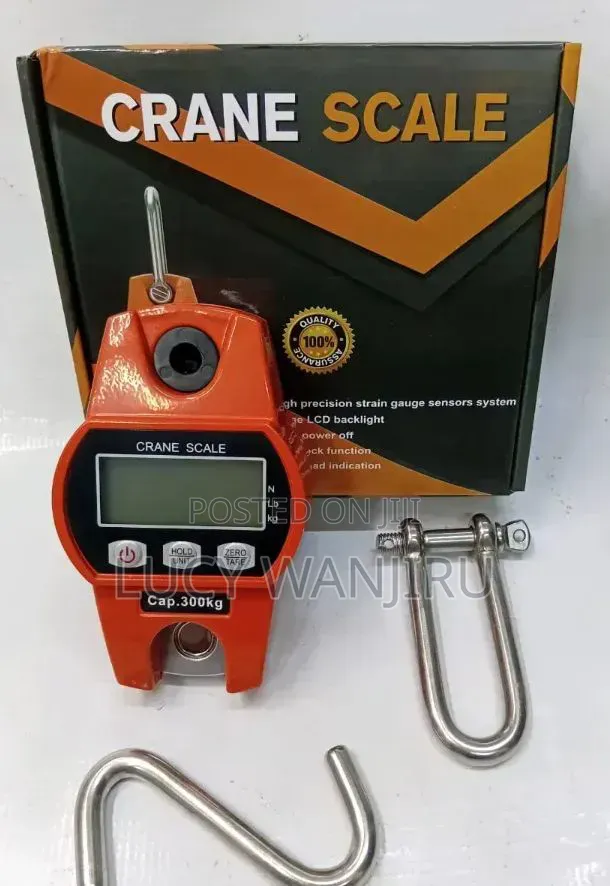 300kg Crane Scale / Hanging Scale - 1
