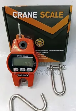 300kg Crane Scale / Hanging Scale