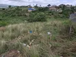 Plot for Sale in Mikindani (40ft x 90ft) - 1