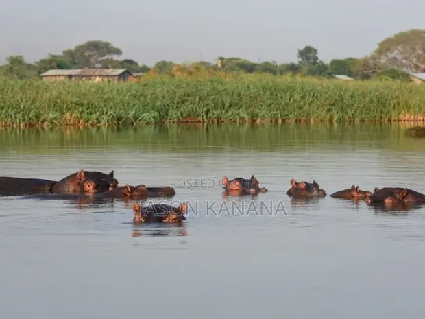 Wakala wa Utalii na Safari - Miaka 5 ya Uzoefu - 1