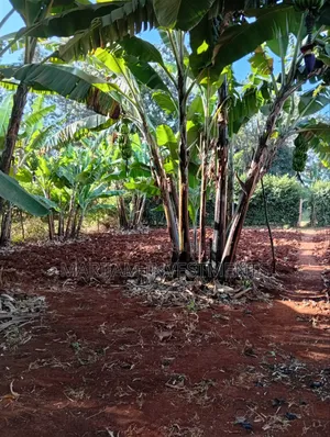 1/4 Eka ya Ardhi ya Makazi, Kiambu Road