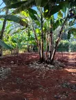 1/4 Eka ya Ardhi ya Makazi, Kiambu Road - 1