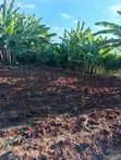 1/4 Eka ya Ardhi ya Makazi, Kiambu Road - 2